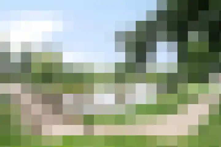 Vijverlaan 39 Horst thumbnail 39