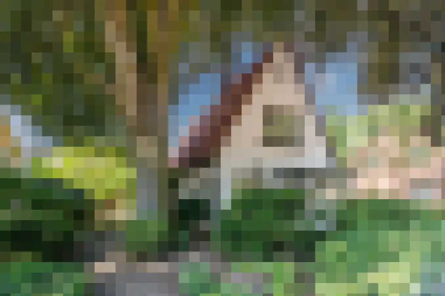 Vijverlaan 4 Bodegraven thumbnail 10
