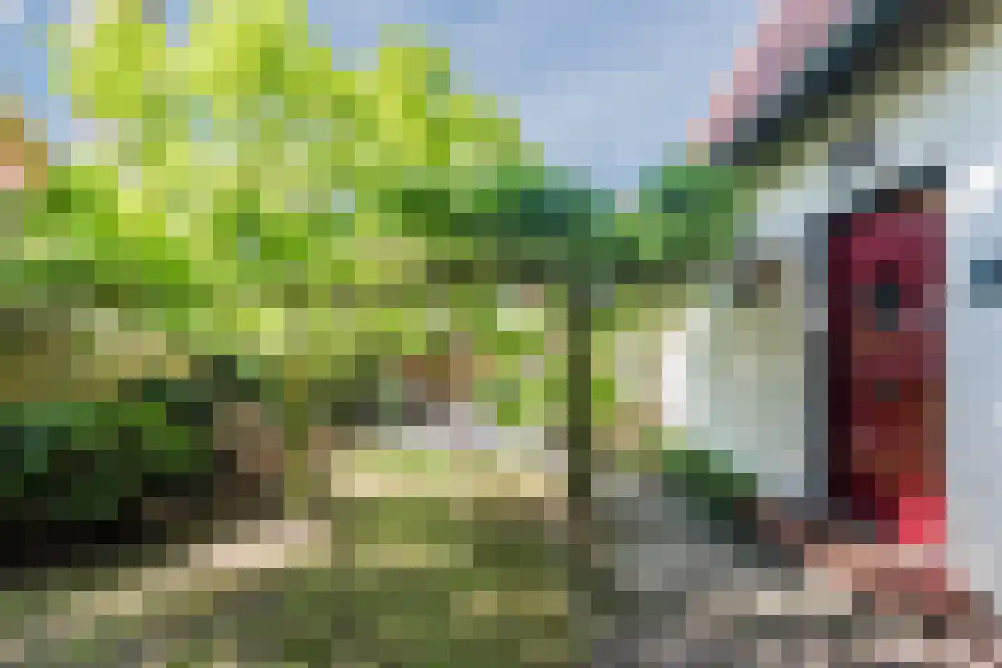 Vijverlaan 4 Bodegraven thumbnail 12