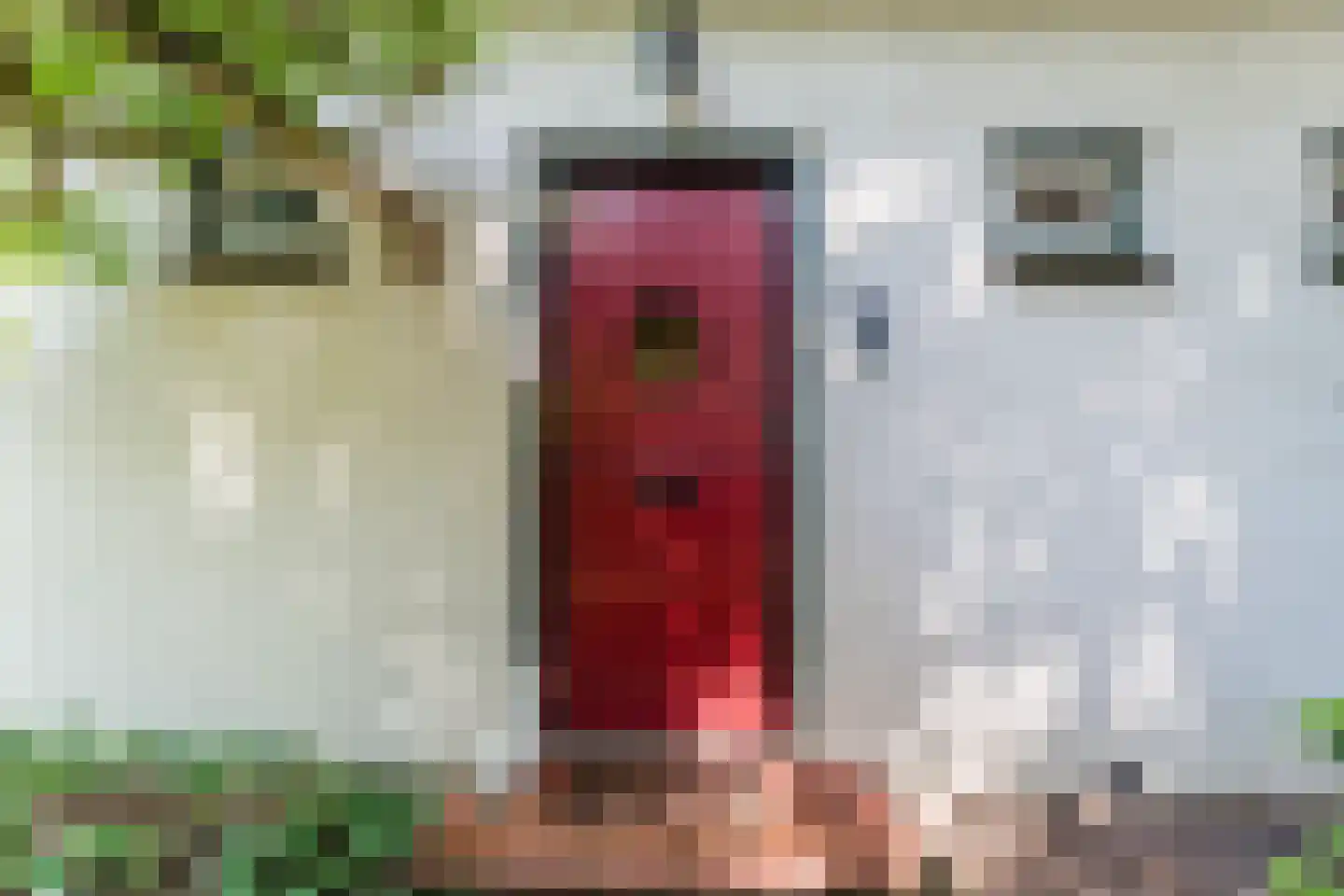 Vijverlaan 4 Bodegraven thumbnail 14