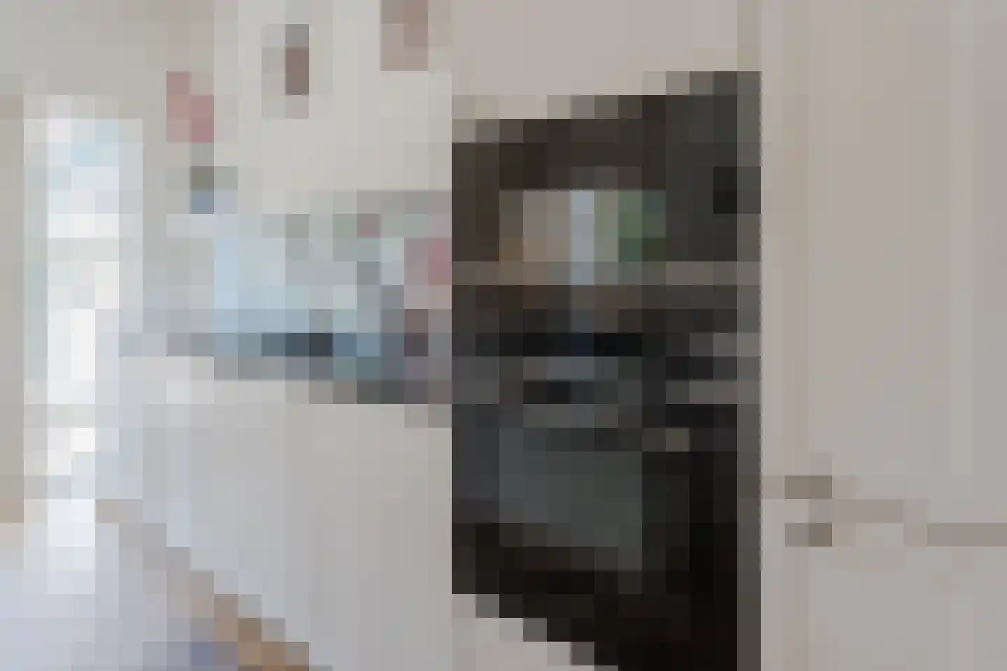 Vijverlaan 4 Bodegraven thumbnail 31