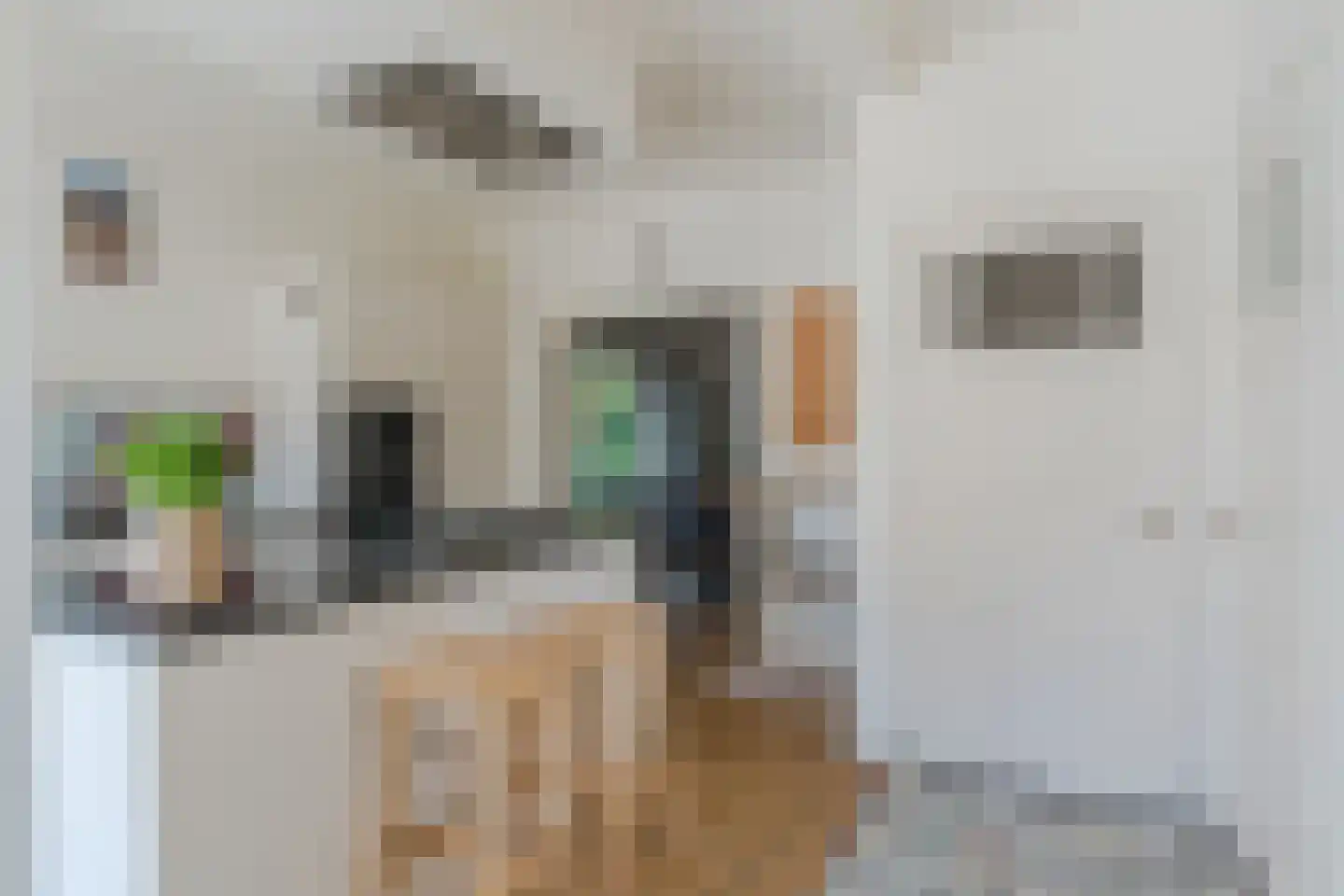 Vijverlaan 4 Bodegraven thumbnail 33