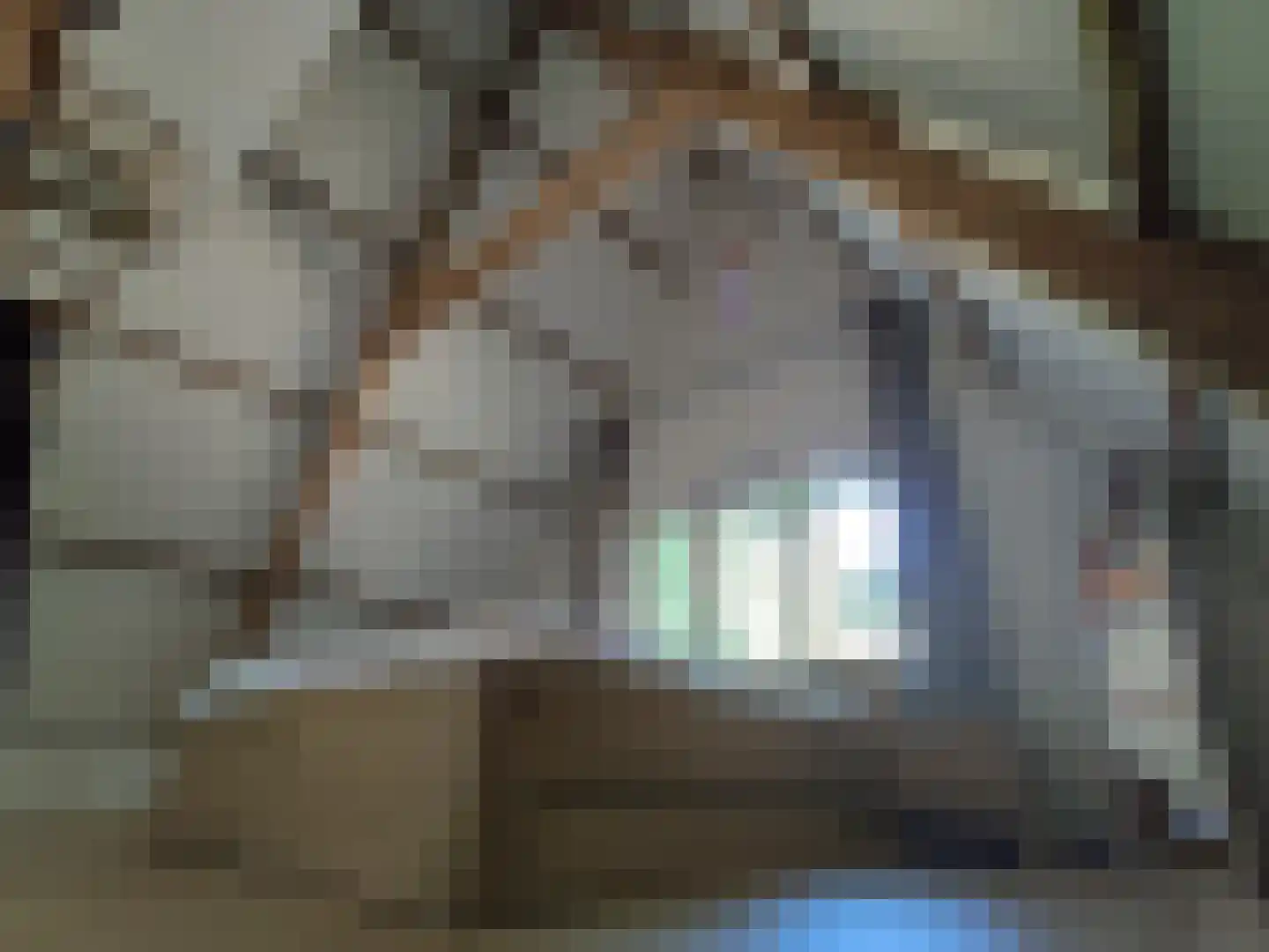 Vijverlaan 4 Bodegraven thumbnail 41