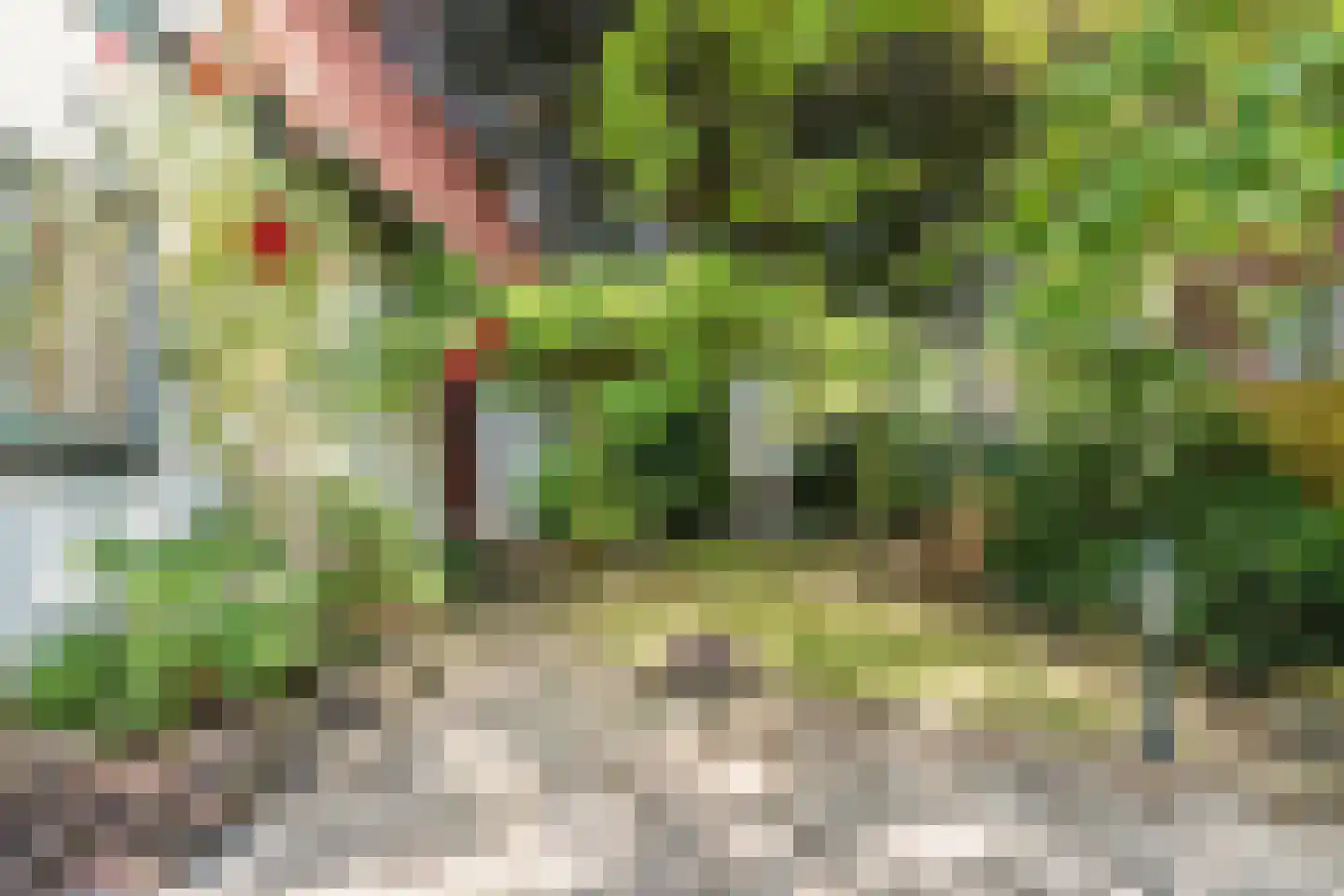 Vijverlaan 4 Bodegraven thumbnail 65