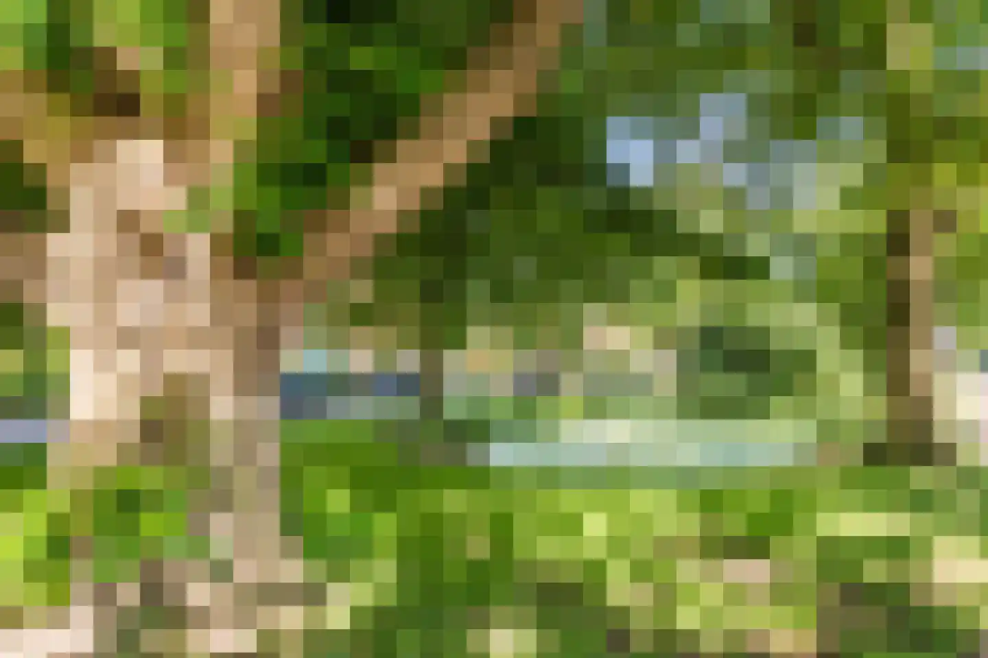 Vijverlaan 4 Bodegraven thumbnail 74