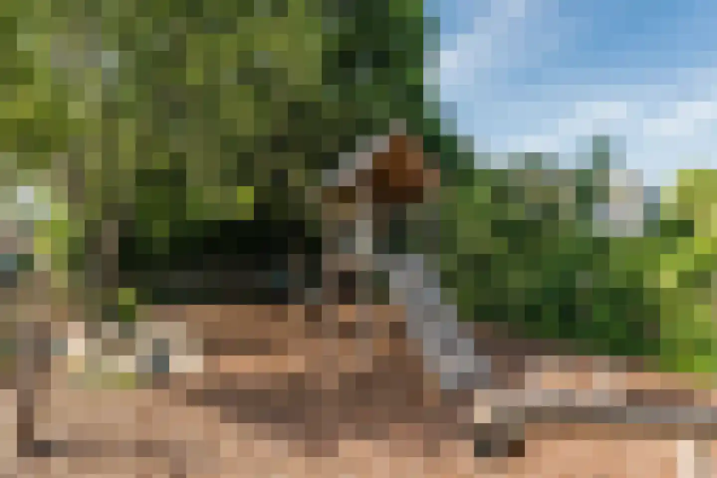 Vijverlaan 4 Bodegraven thumbnail 76