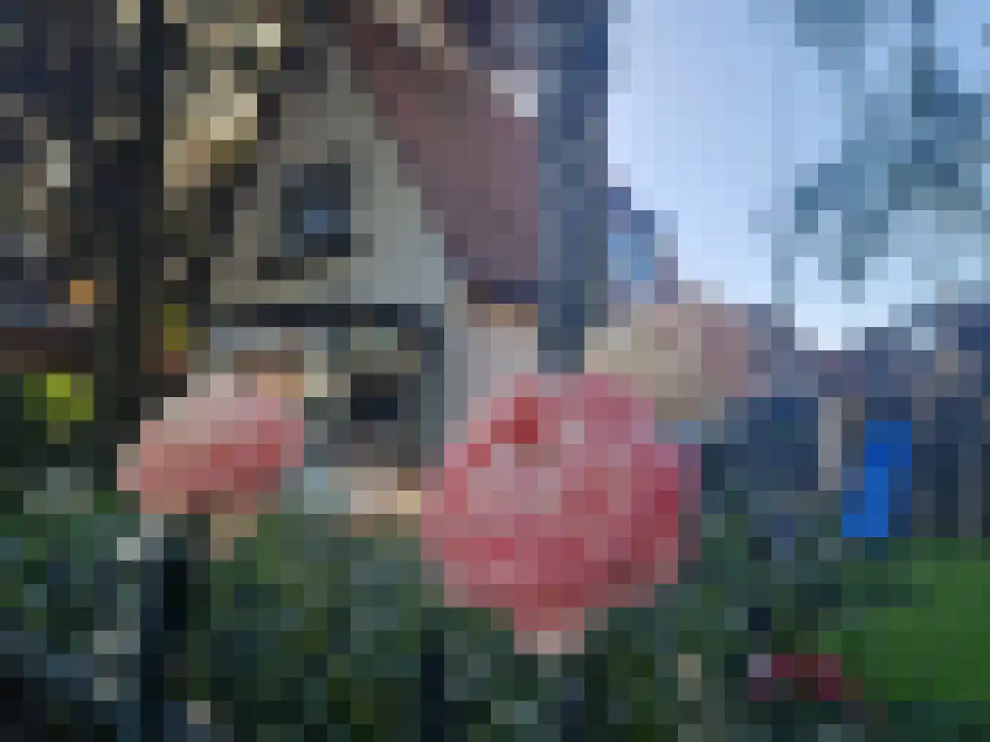 Vijverlaan 4 Bodegraven thumbnail 9