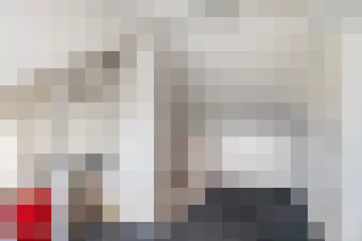 Vijverlaan 40 Scherpenzeel thumbnail 22