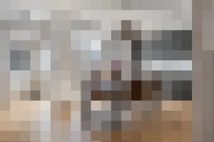 Vijverlaan 452 Krimpen aan den IJssel thumbnail 16