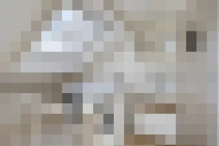 Vijverlaan 452 Krimpen aan den IJssel thumbnail 30