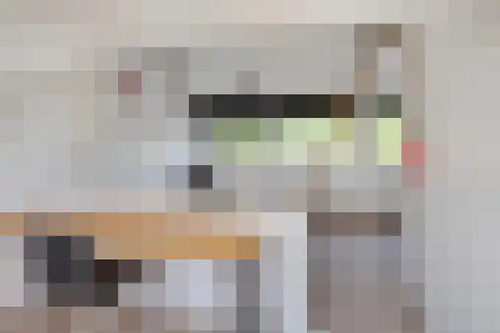 Vijverlaan 452 Krimpen aan den IJssel thumbnail 34