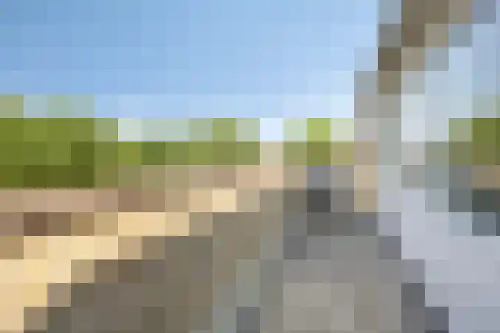 Vijverlaan 452 Krimpen aan den IJssel thumbnail 35