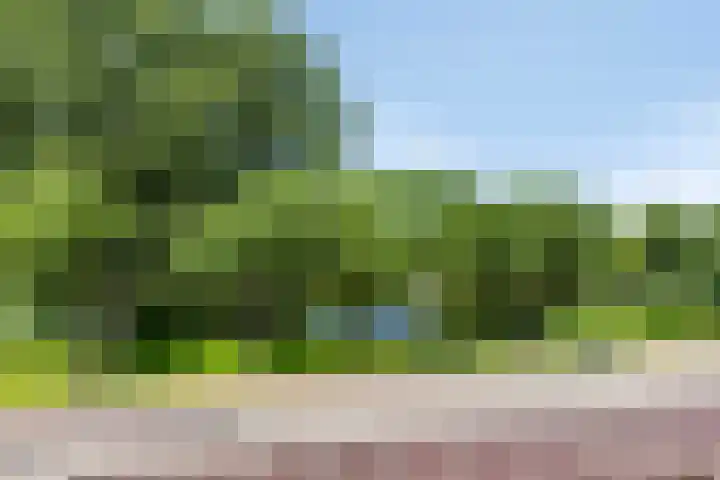 Vijverlaan 452 Krimpen aan den IJssel thumbnail 36