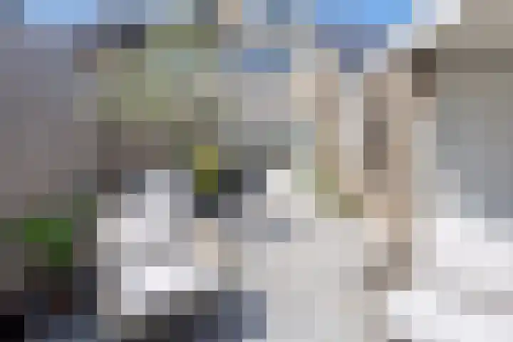 Vijverlaan 452 Krimpen aan den IJssel thumbnail 38