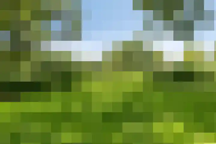 Vijverlaan 452 Krimpen aan den IJssel thumbnail 45