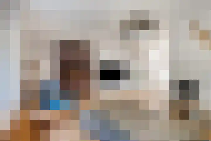 Vijverlaan 452 Krimpen aan den IJssel thumbnail 5