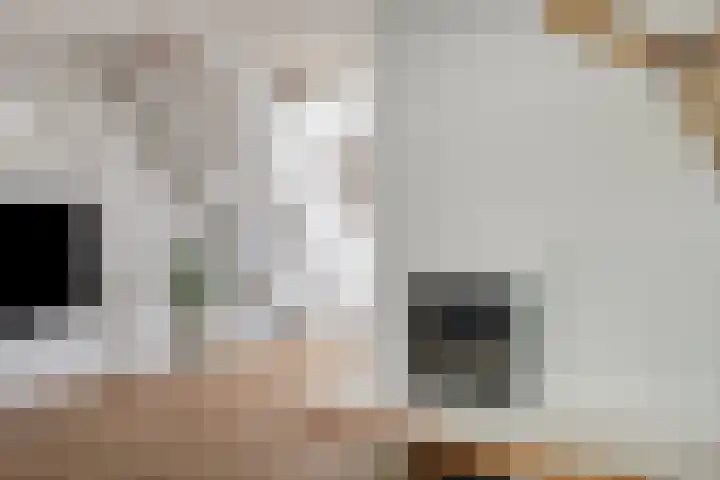Vijverlaan 452 Krimpen aan den IJssel thumbnail 6