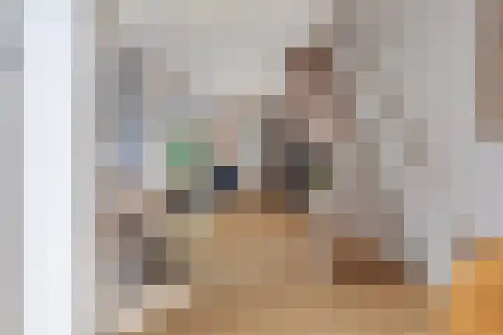 Vijverlaan 452 Krimpen aan den IJssel thumbnail 9