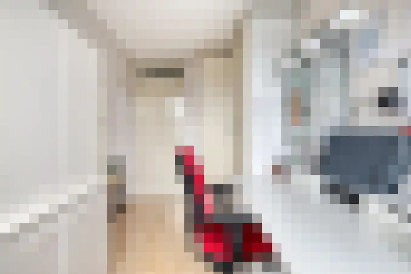 Vijverlaan 459 Krimpen aan den IJssel thumbnail 20