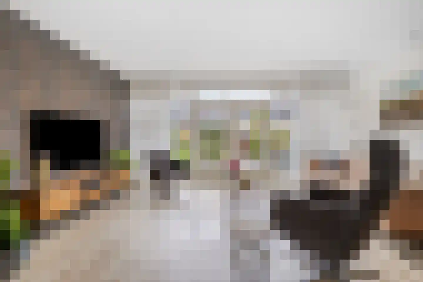 Vijverlaan 459 Krimpen aan den IJssel thumbnail 6