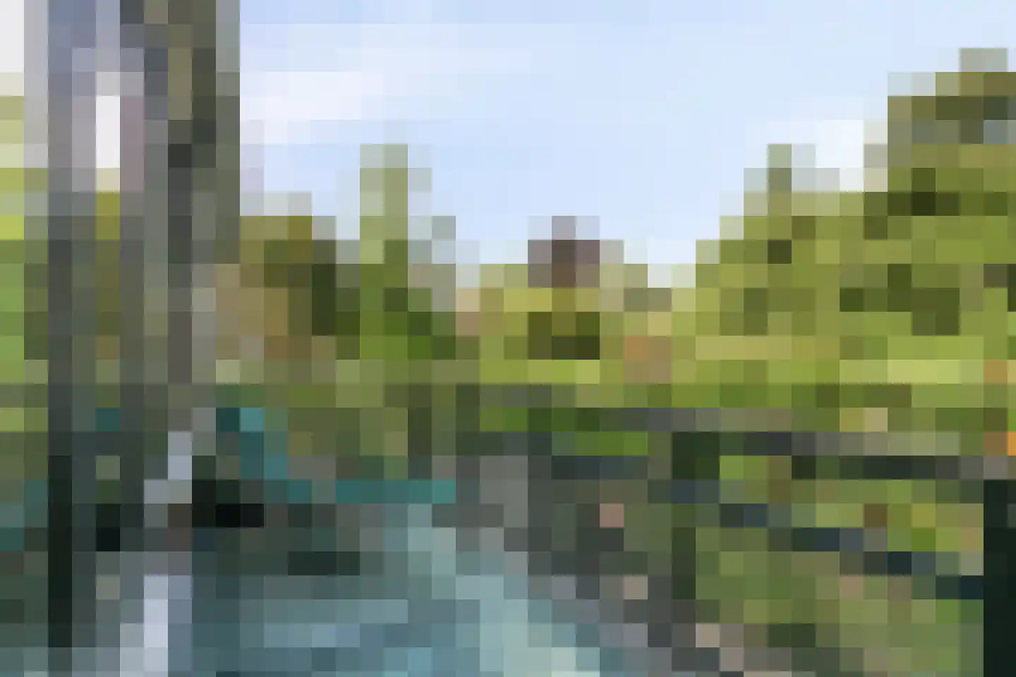Vijverlaan 47 Rotterdam thumbnail 12