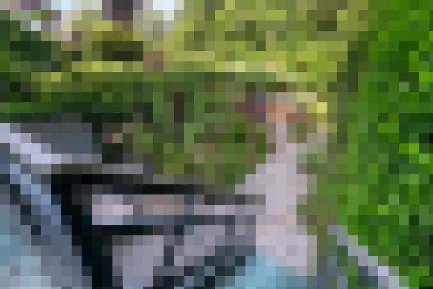 Vijverlaan 47 Rotterdam thumbnail 13