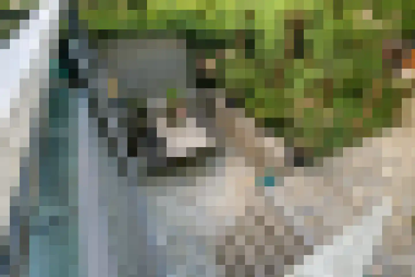 Vijverlaan 47 Rotterdam thumbnail 14