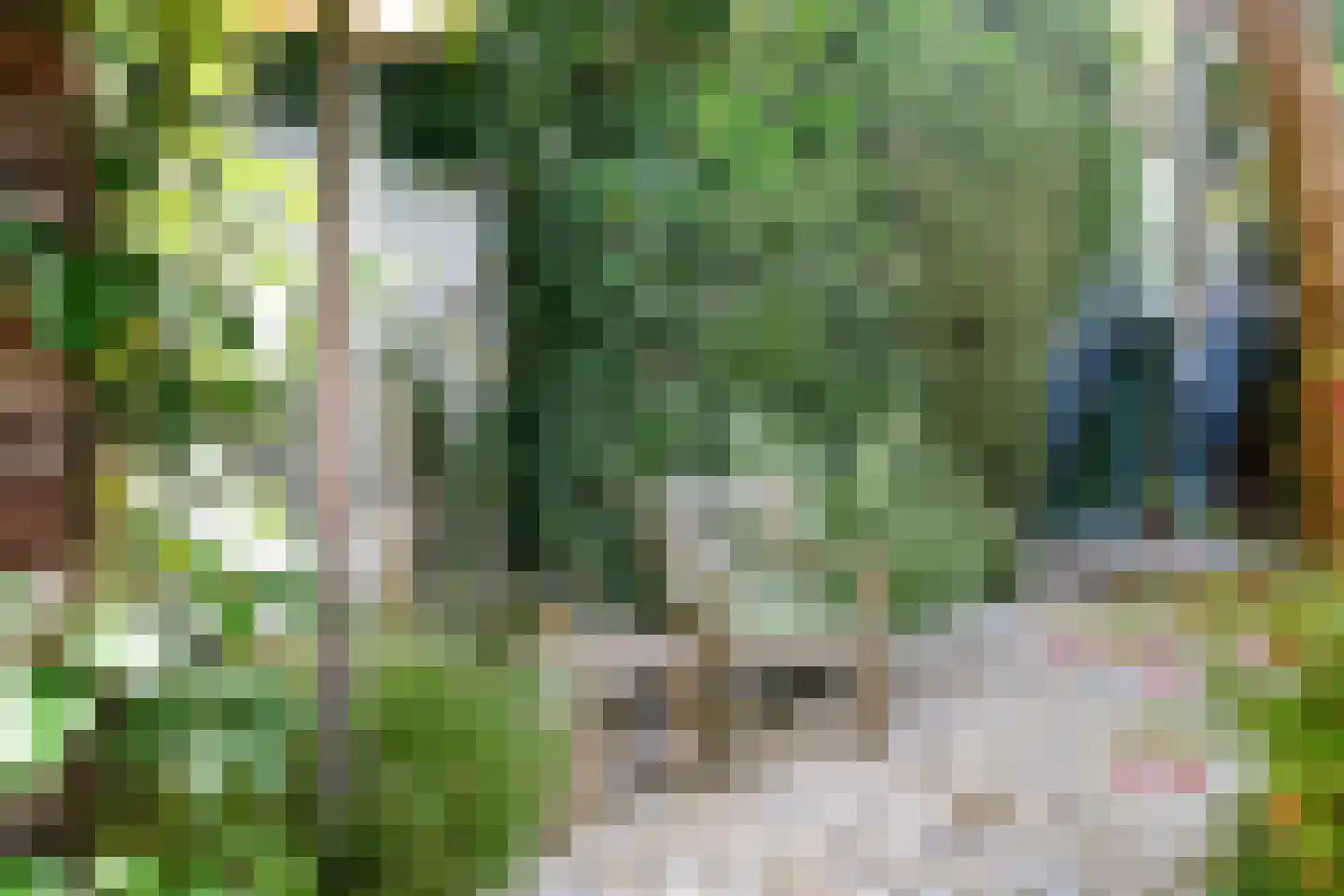 Vijverlaan 47 Rotterdam thumbnail 16