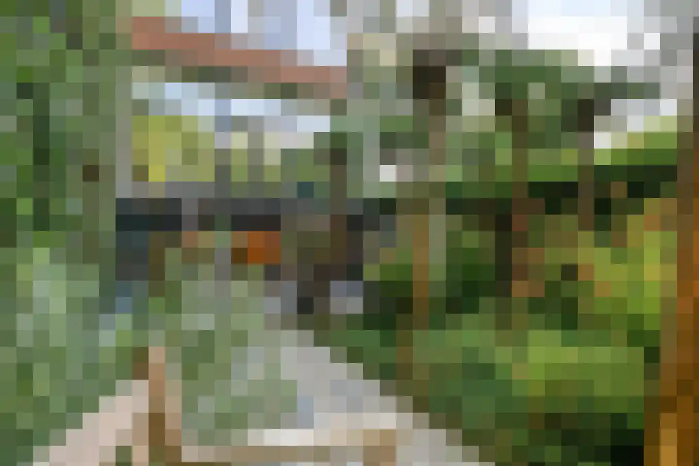Vijverlaan 47 Rotterdam thumbnail 18