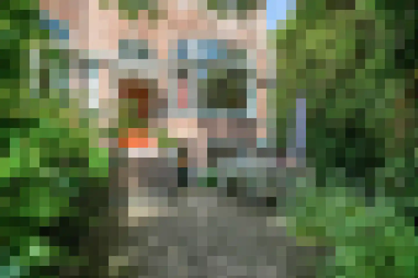Vijverlaan 47 Rotterdam thumbnail 49