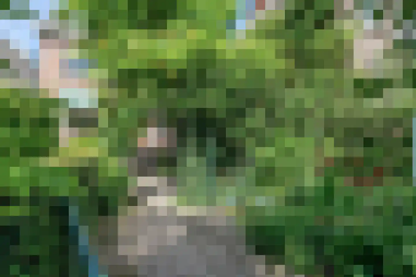 Vijverlaan 47 Rotterdam thumbnail 51