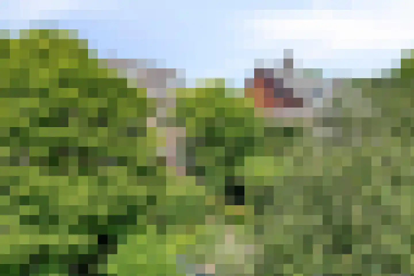 Vijverlaan 47 Rotterdam thumbnail 55