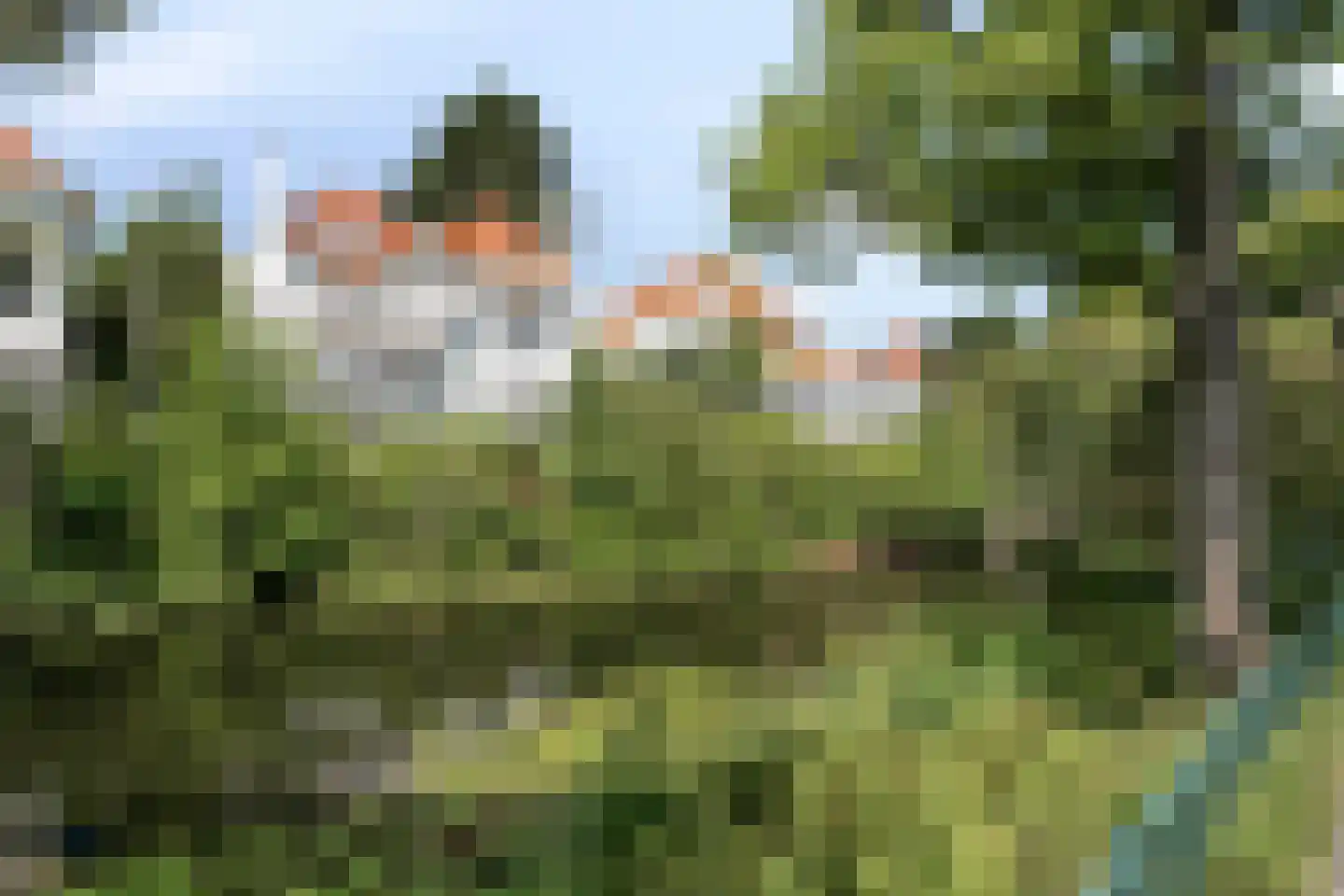 Vijverlaan 47 Rotterdam thumbnail 62