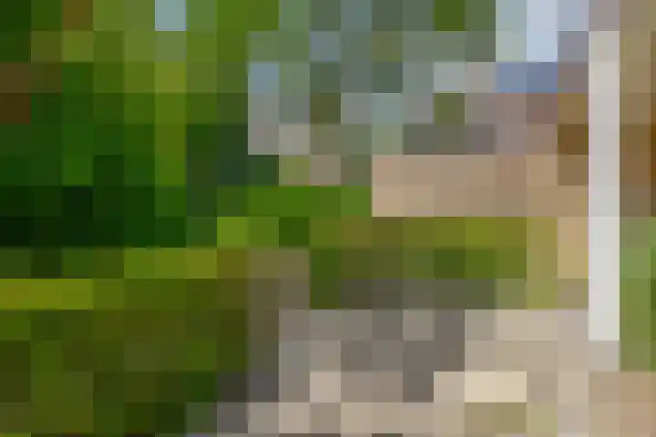 Vijverlaan 477 Krimpen aan den IJssel thumbnail 11