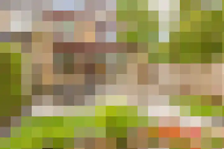 Vijverlaan 477 Krimpen aan den IJssel foto 2