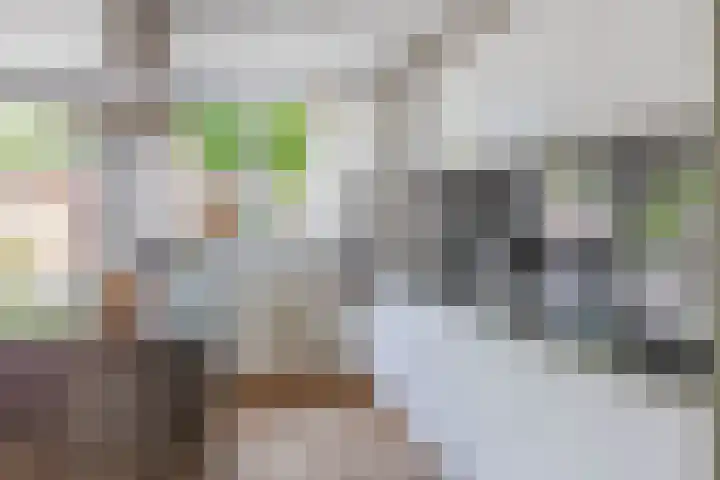 Vijverlaan 477 Krimpen aan den IJssel thumbnail 20