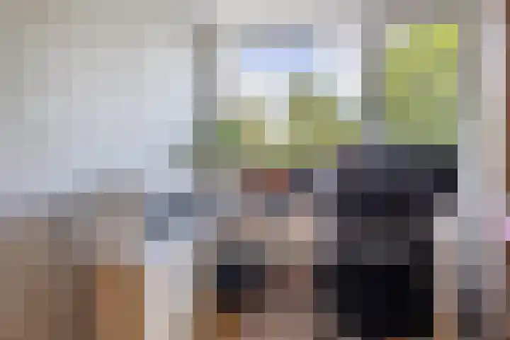 Vijverlaan 477 Krimpen aan den IJssel thumbnail 29