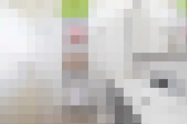 Vijverlaan 477 Krimpen aan den IJssel thumbnail 32