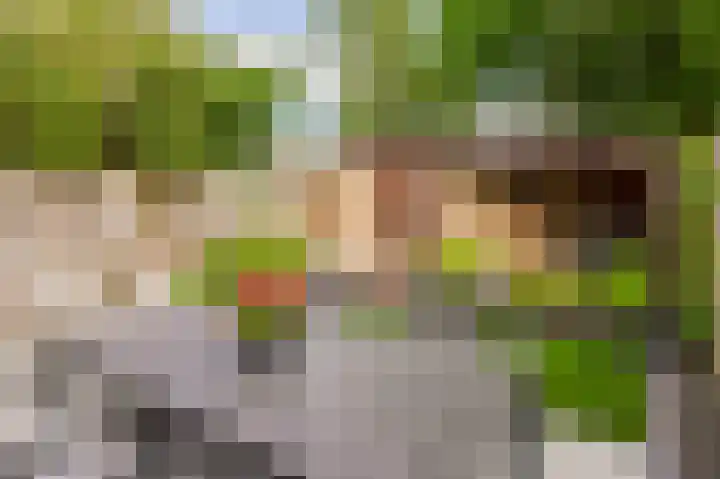Vijverlaan 477 Krimpen aan den IJssel thumbnail 40