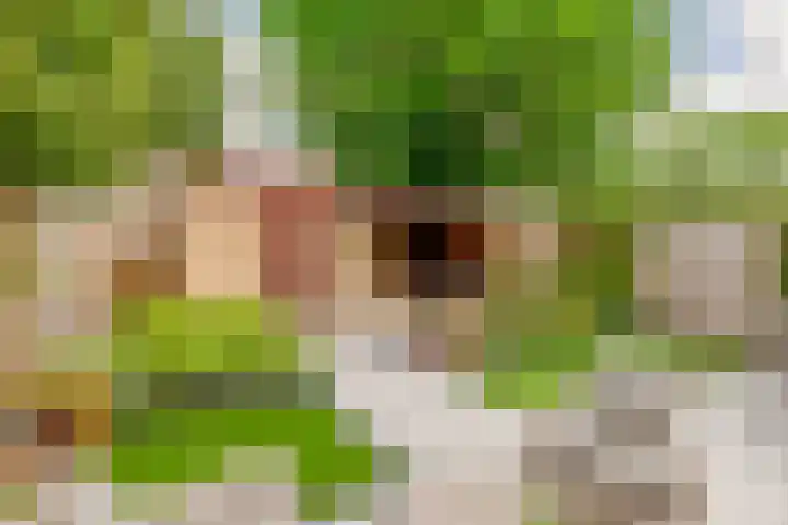 Vijverlaan 477 Krimpen aan den IJssel thumbnail 41