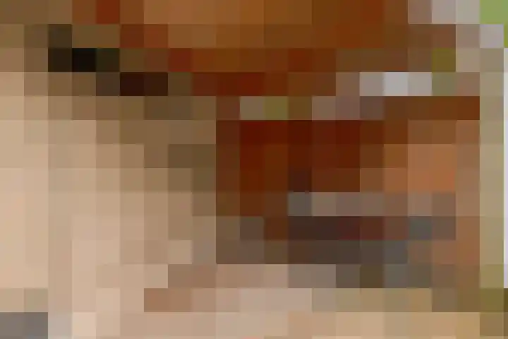 Vijverlaan 477 Krimpen aan den IJssel thumbnail 43