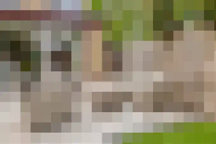 Vijverlaan 477 Krimpen aan den IJssel thumbnail 44