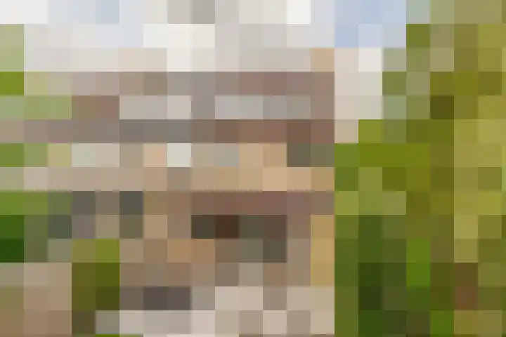 Vijverlaan 477 Krimpen aan den IJssel thumbnail 49