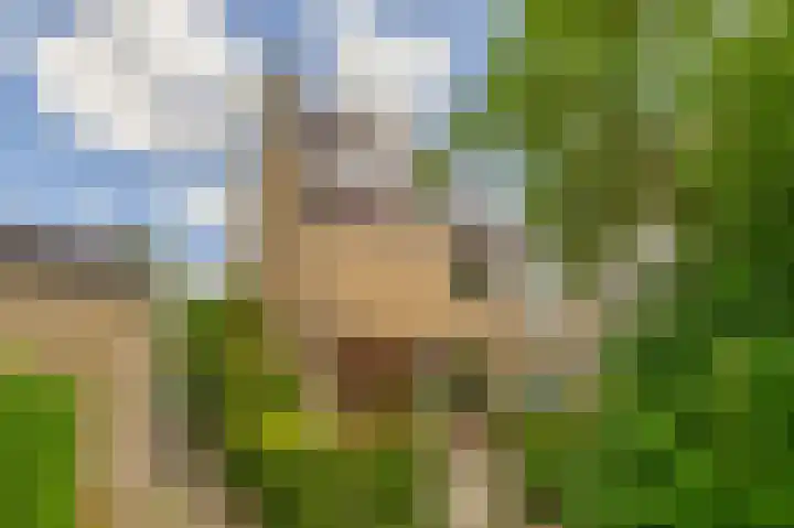 Vijverlaan 477 Krimpen aan den IJssel thumbnail 5