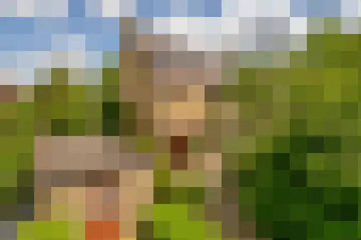 Vijverlaan 477 Krimpen aan den IJssel thumbnail 6