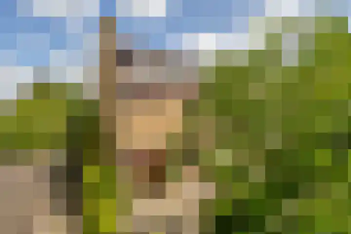 Vijverlaan 477 Krimpen aan den IJssel thumbnail 62
