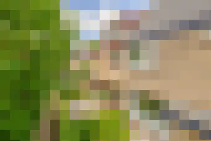 Vijverlaan 477 Krimpen aan den IJssel thumbnail 7