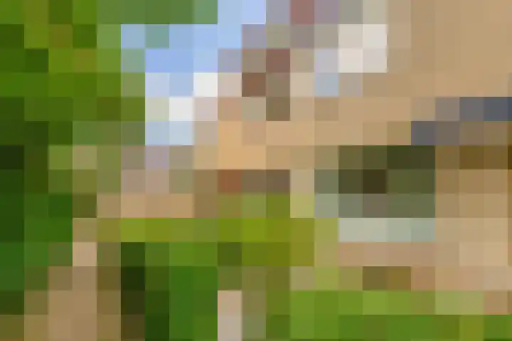 Vijverlaan 477 Krimpen aan den IJssel thumbnail 8