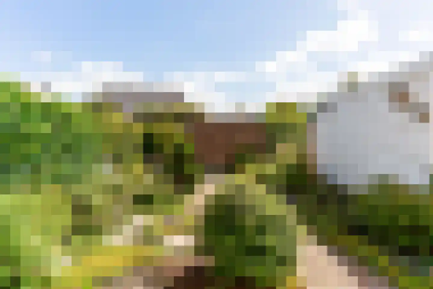 Vijverlaan 5 Heiloo thumbnail 35