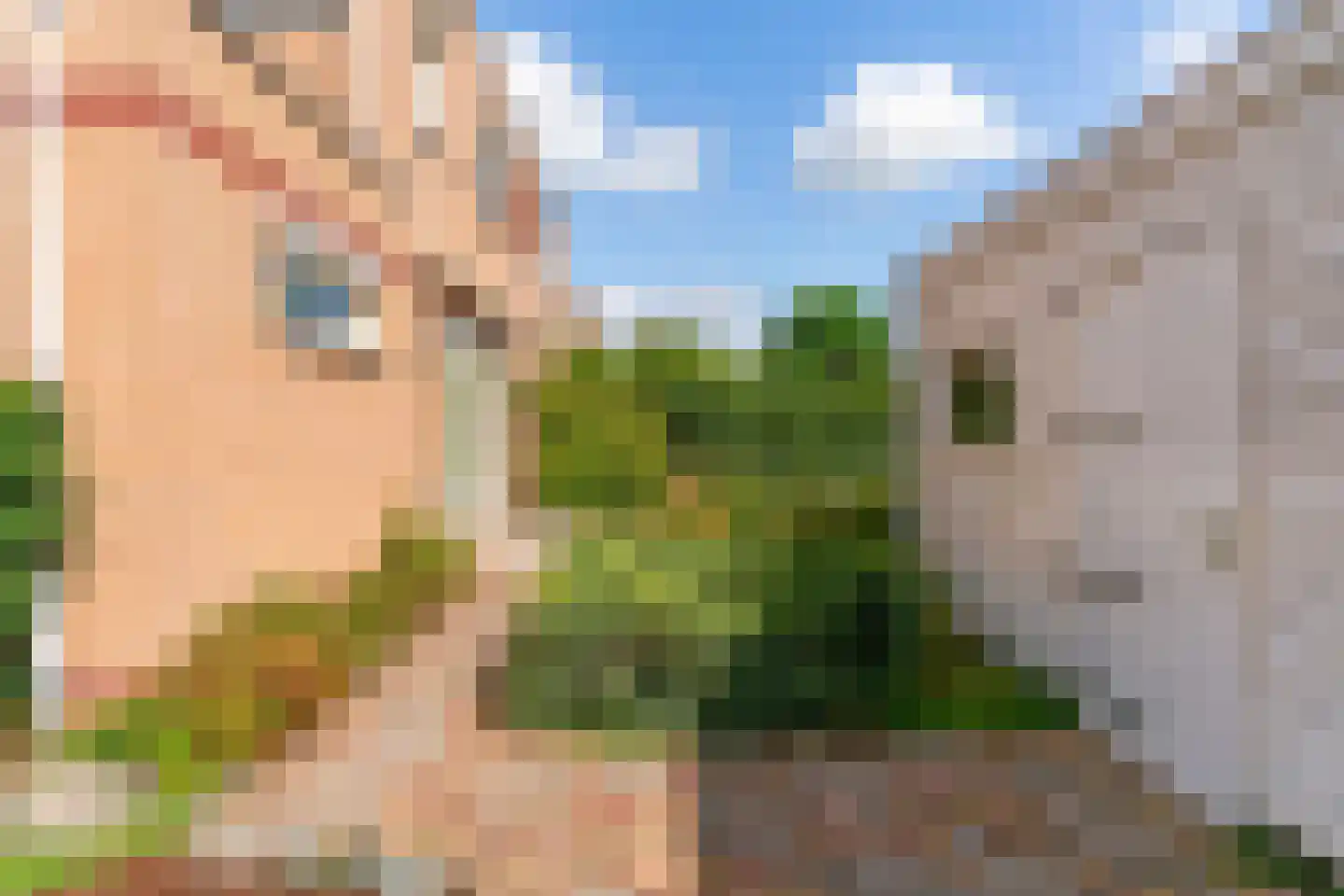 Vijverlaan 5 Heiloo thumbnail 38